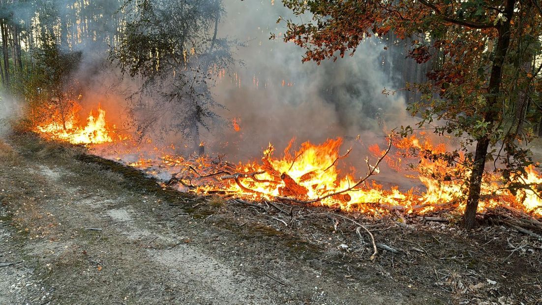 Waldbrand beschäftigt Einsatzkräfte am Sonntagabend