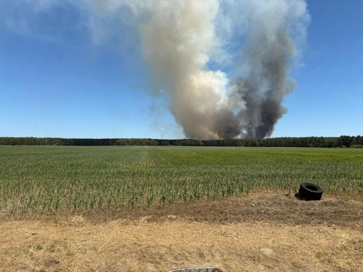 Großbrand im Bereich Massen bei Finsterwalde