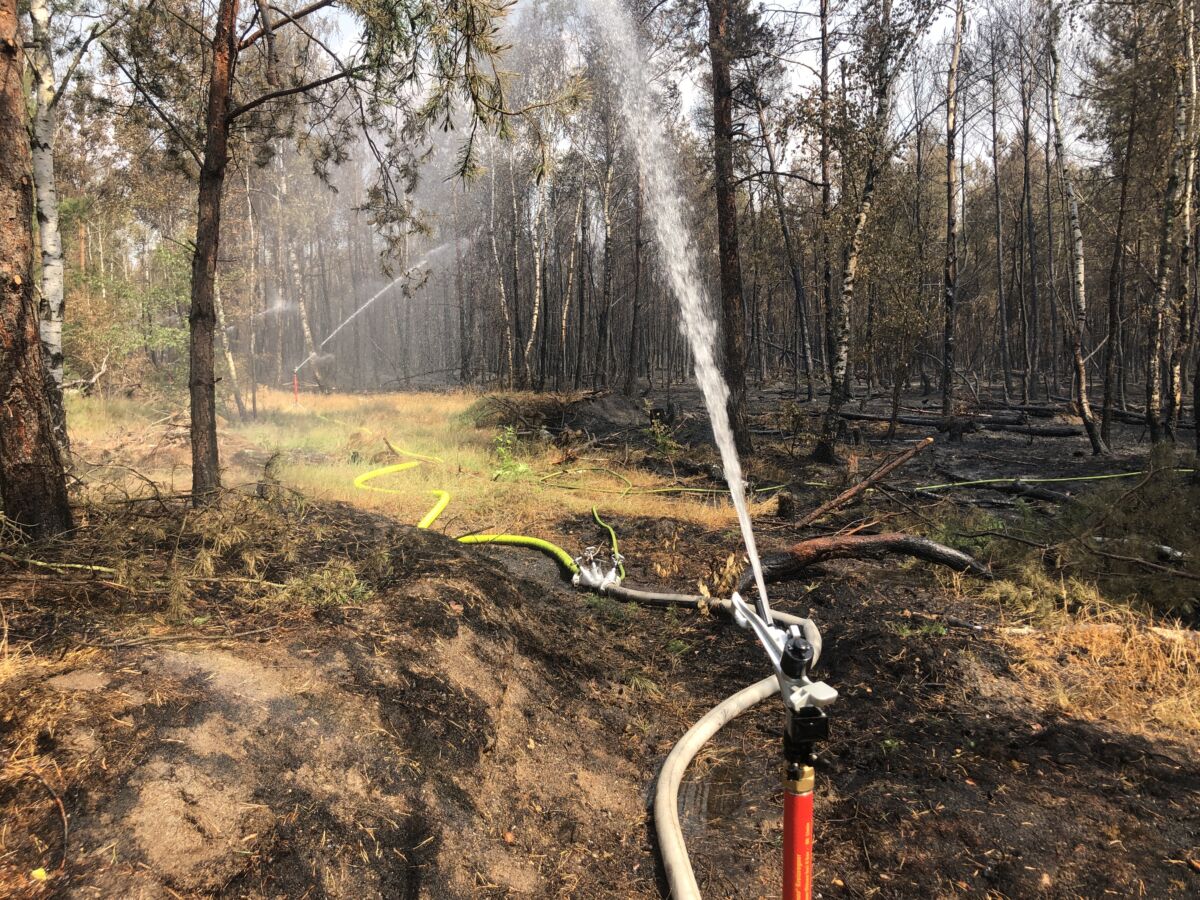 Ausgedehnter Waldbrand in der Gohrischheide
