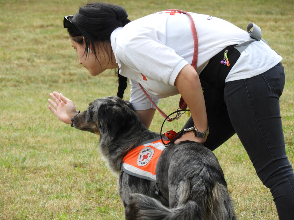 Finsterwalder Rettungshunde bei Teupitz im Einsatz