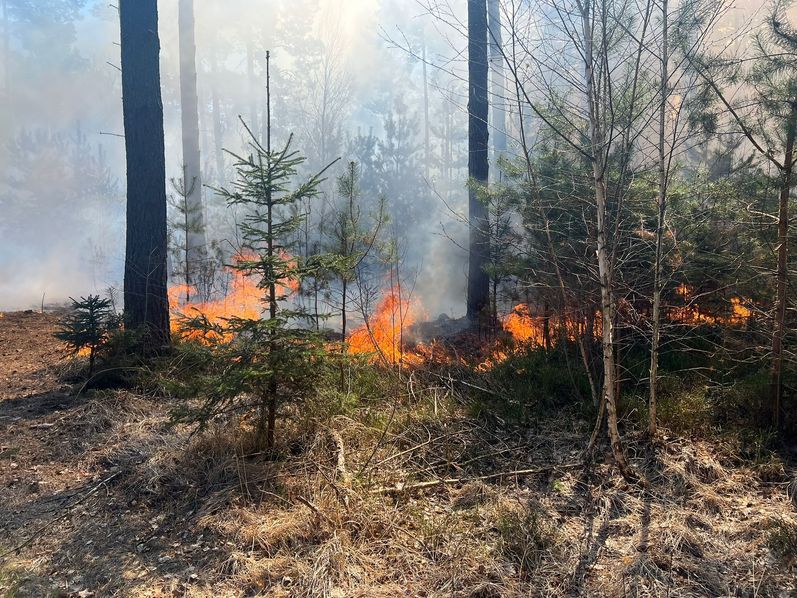 Waldbrände im Schliebener Land