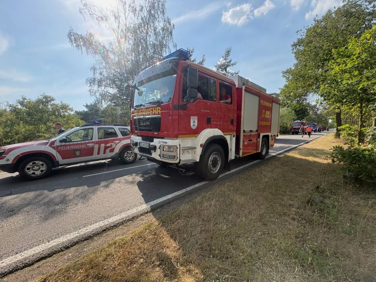Und wieder brennt es in der Gorischheide- Einsatzkräfte aus Brandenburg unterstützen