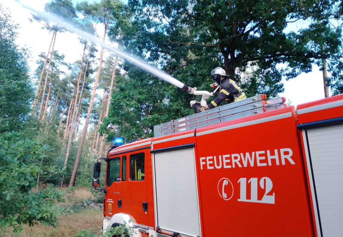 Zehn Hektar Wald in Flammen – Verbandsgemeinde unterstützt Brandbekämpfung