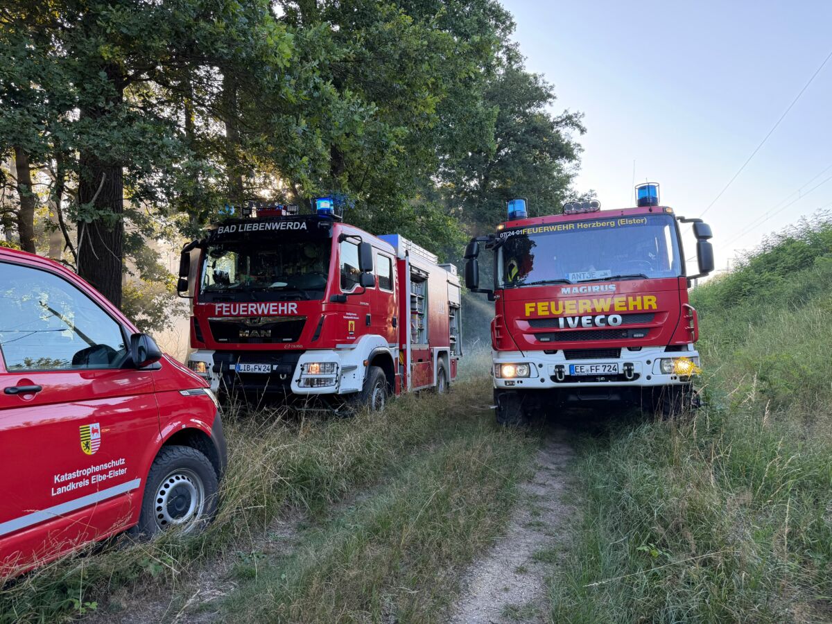 Großeinsatz in Falkenberg